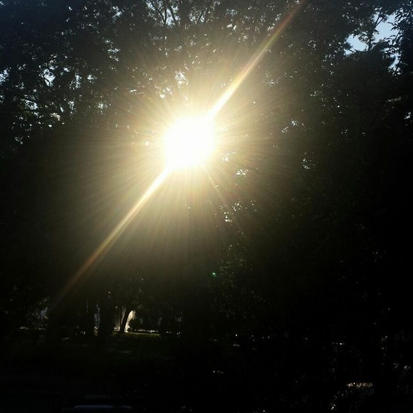 Meet your Posher, Andicea - Picture 1 of 1